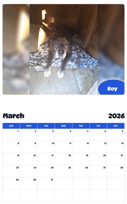 November 2025 - October 2026 Boy - Pawidols Pet Calendar