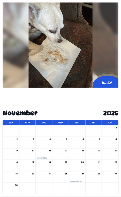July 2025 - June 2026 Daisy - Pawidols Pet Calendar