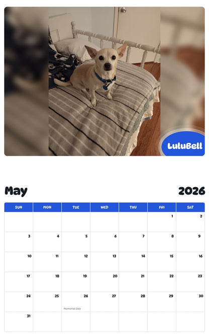 2026 - 2027 LuluBell - Pawidols Pet Calendar