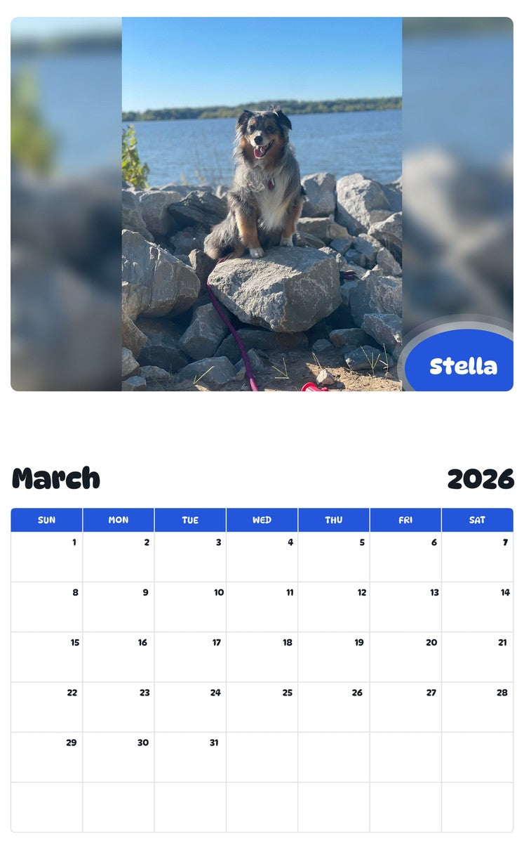 November 2025 - October 2026 Stella - Pawidols Pet Calendar