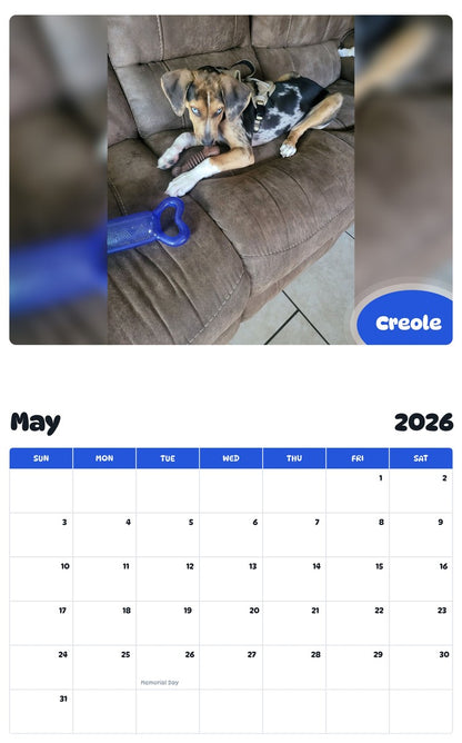2026 - 2027 Creole - Pawidols Pet Calendar