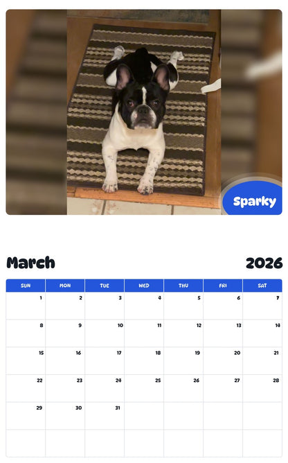 November 2025 - October 2026 Sparky - Pawidols Pet Calendar