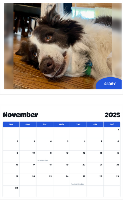July 2025 - June 2026 Seaby - Pawidols Pet Calendar