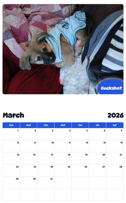November 2025 - October 2026 Buckshot - Pawidols Pet Calendar