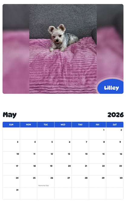 2026 - 2027 Lilley - Pawidols Pet Calendar