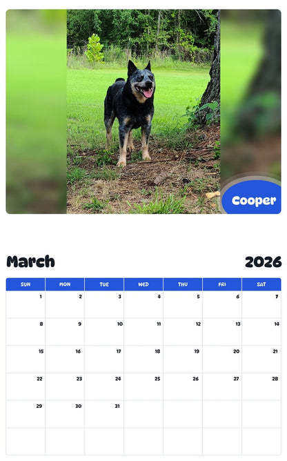 November 2025 - October 2026 Cooper - Pawidols Pet Calendar