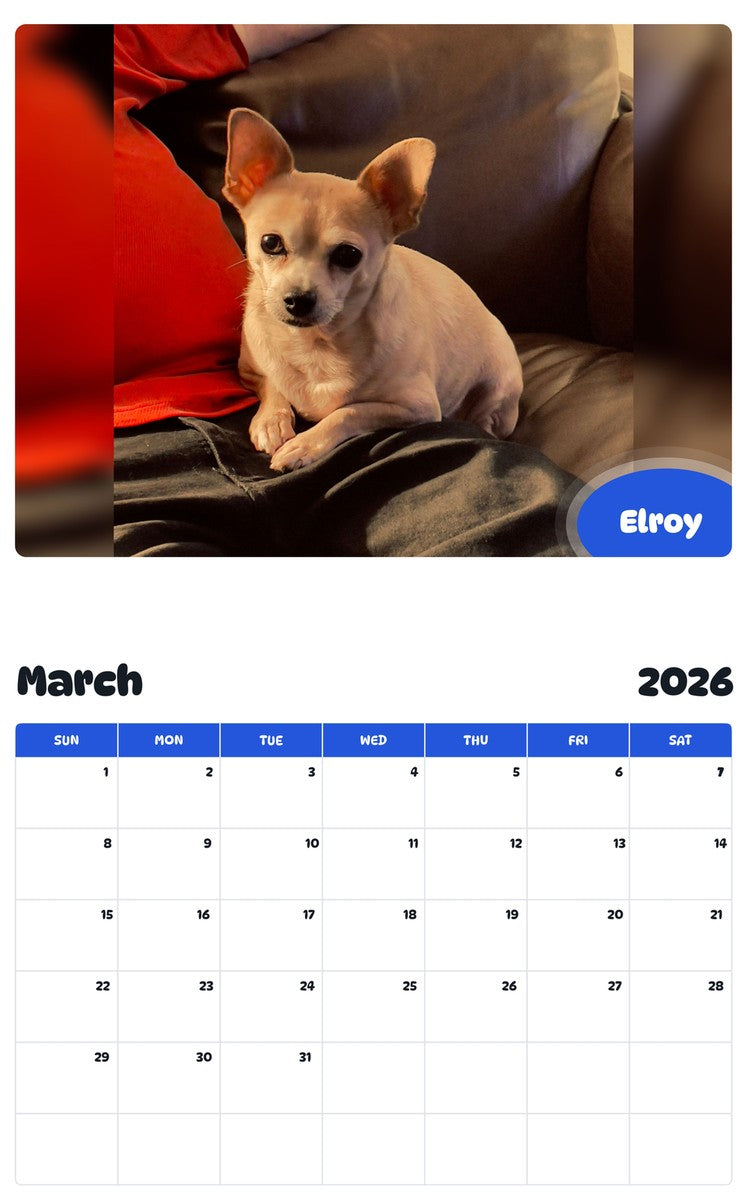 November 2025 - October 2026 Elroy - Pawidols Pet Calendar