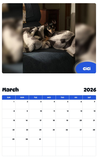 November 2025 - October 2026 CiCi - Pawidols Pet Calendar