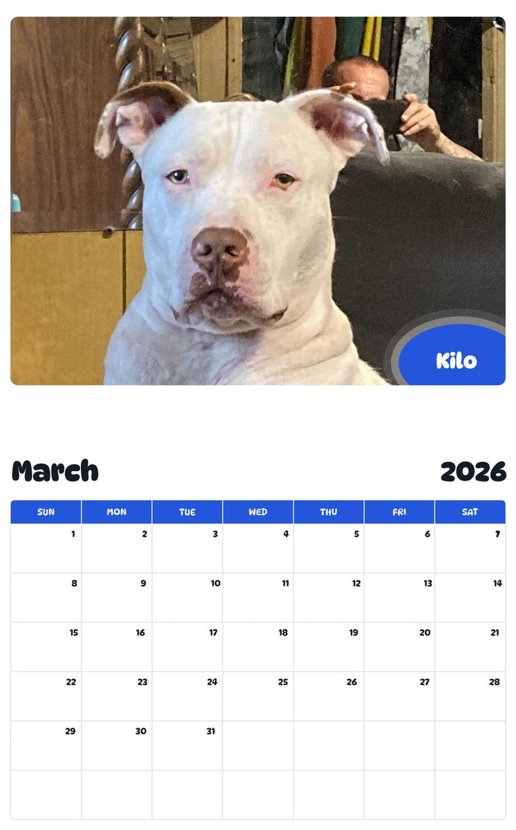 November 2025 - October 2026 Kilo - Pawidols Pet Calendar