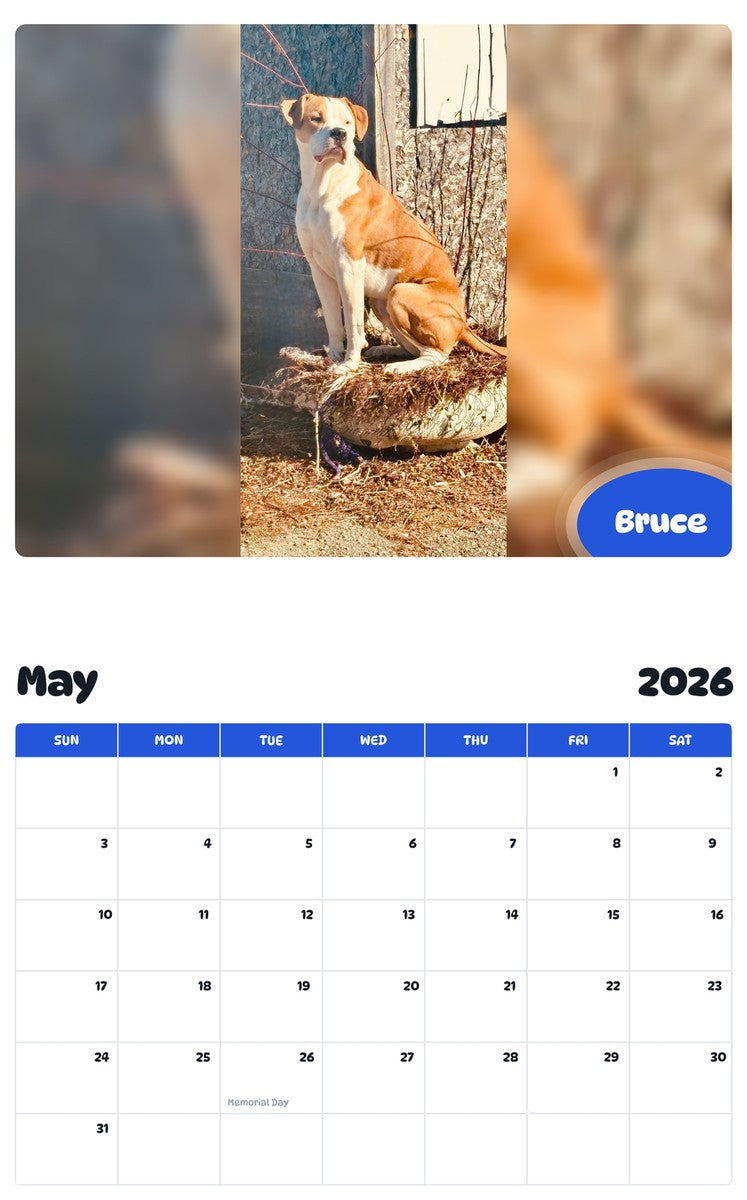 2026 - 2027 Bruce - Pawidols Pet Calendar