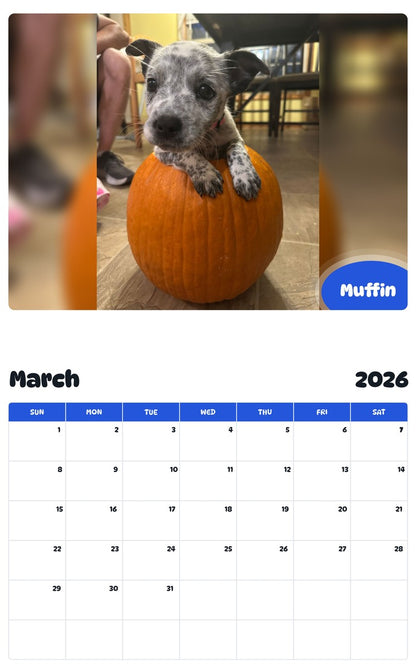 November 2025 - October 2026 Muffin - Pawidols Pet Calendar