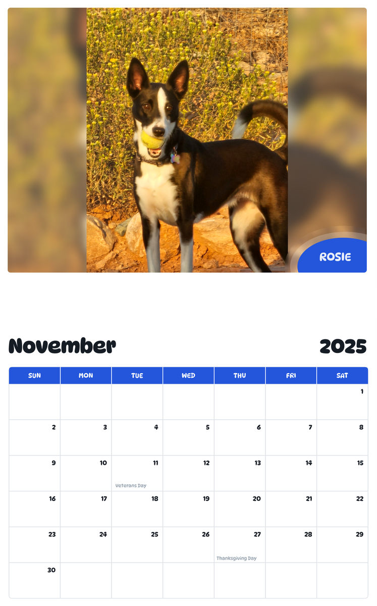 July 2025 - June 2026 Rosie - Pawidols Pet Calendar