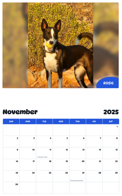 July 2025 - June 2026 Rosie - Pawidols Pet Calendar