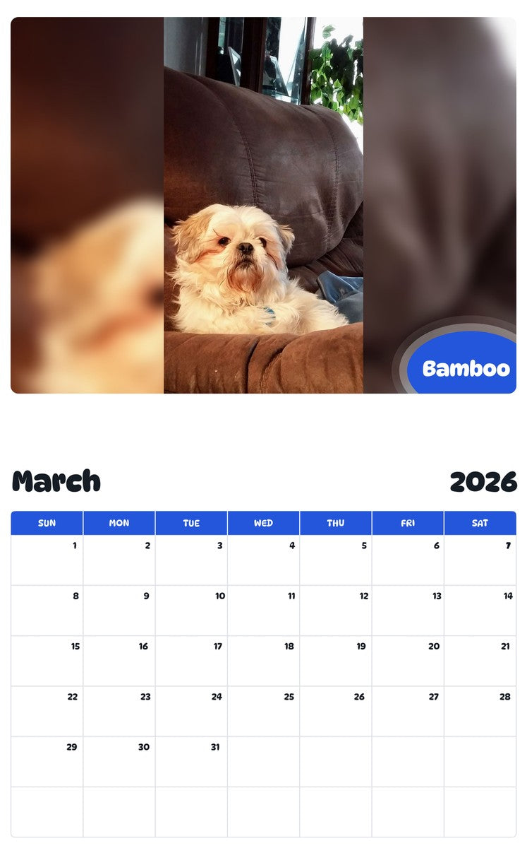 November 2025 - October 2026 Bamboo - Pawidols Pet Calendar