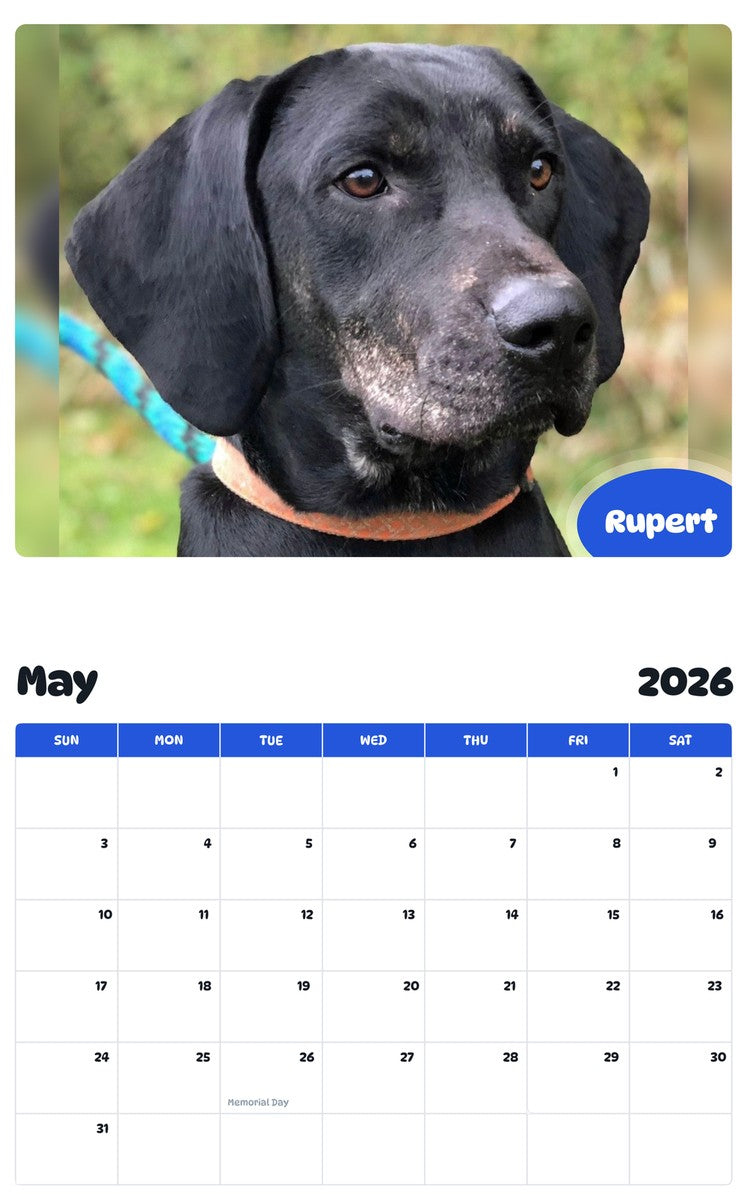 2026 - 2027 Rupert - Pawidols Pet Calendar