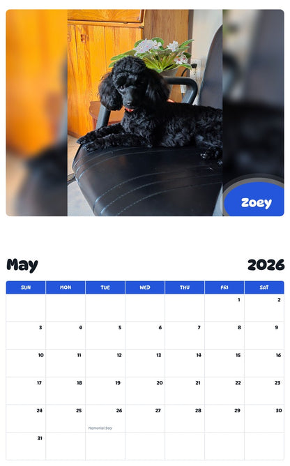 2026 - 2027 Zoey - Pawidols Pet Calendar