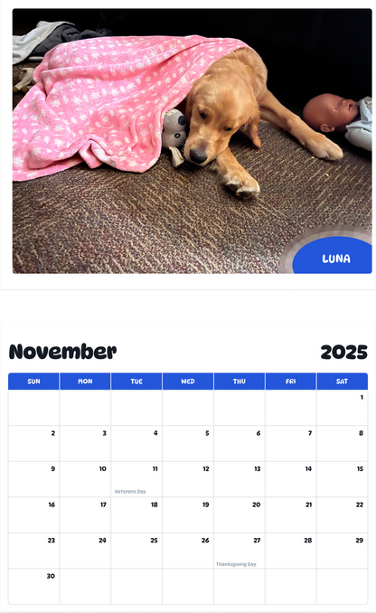 July 2025 - June 2026 Luna - Pawidols Pet Calendar