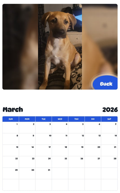 November 2025 - October 2026 Buck - Pawidols Pet Calendar