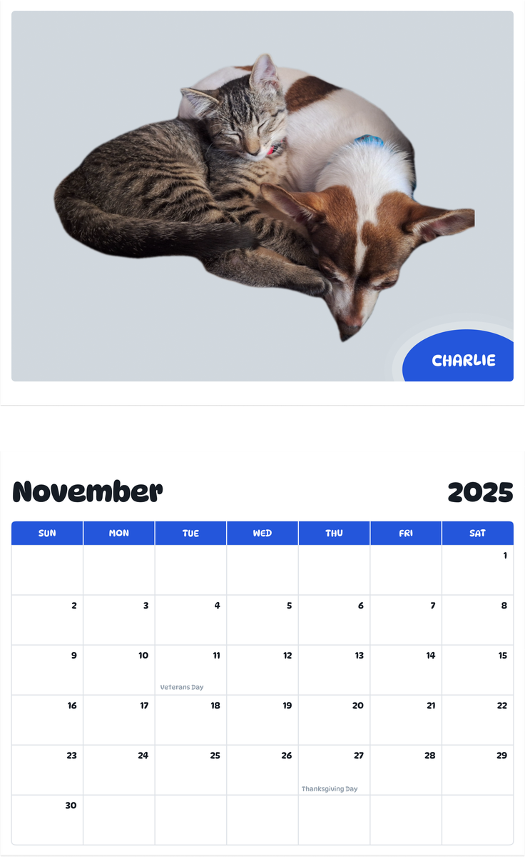 July 2025 - June 2026 Charlie - Pawidols Pet Calendar