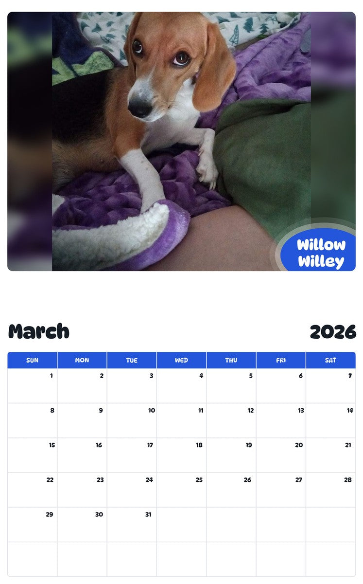 November 2025 - October 2026 Willow Willey - Pawidols Pet Calendar