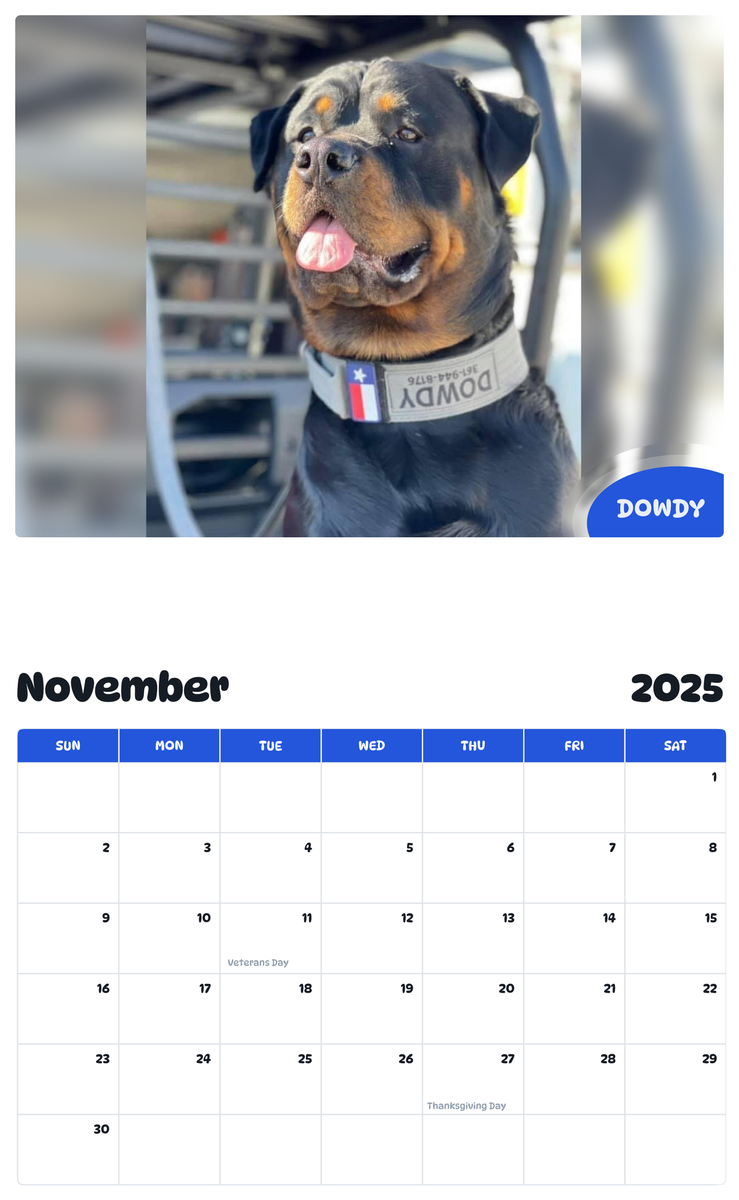 July 2025 - June 2026 Dowdy - Pawidols Pet Calendar