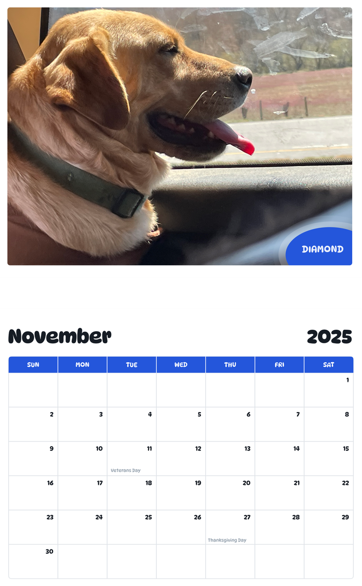 July 2025 - June 2026 Diamond - Pawidols Pet Calendar