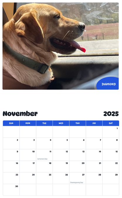 July 2025 - June 2026 Diamond - Pawidols Pet Calendar