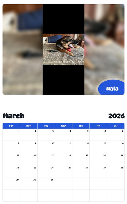 November 2025 - October 2026 Nala - Pawidols Pet Calendar
