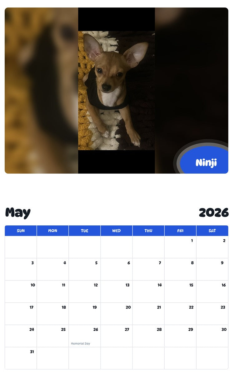 2026 - 2027 Ninji - Pawidols Pet Calendar
