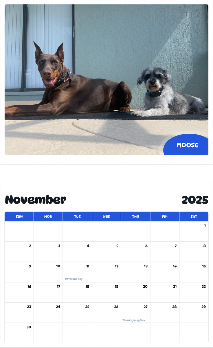 July 2025 - June 2026 Moose - Pawidols Pet Calendar