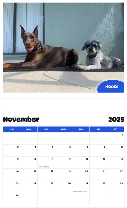 July 2025 - June 2026 Moose - Pawidols Pet Calendar