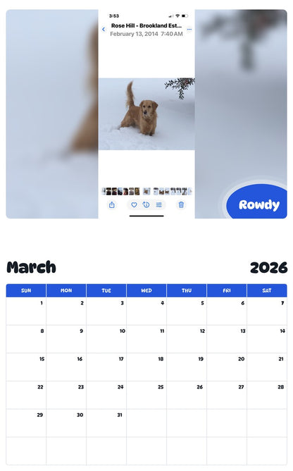 November 2025 - October 2026 Rowdy - Pawidols Pet Calendar