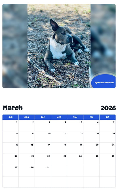November 2025 - October 2026 Agave Sue Shontere - Pawidols Pet Calendar