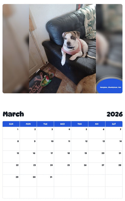 November 2025 - October 2026 Maryjane,  Chunkybear,  Van - Pawidols Pet Calendar