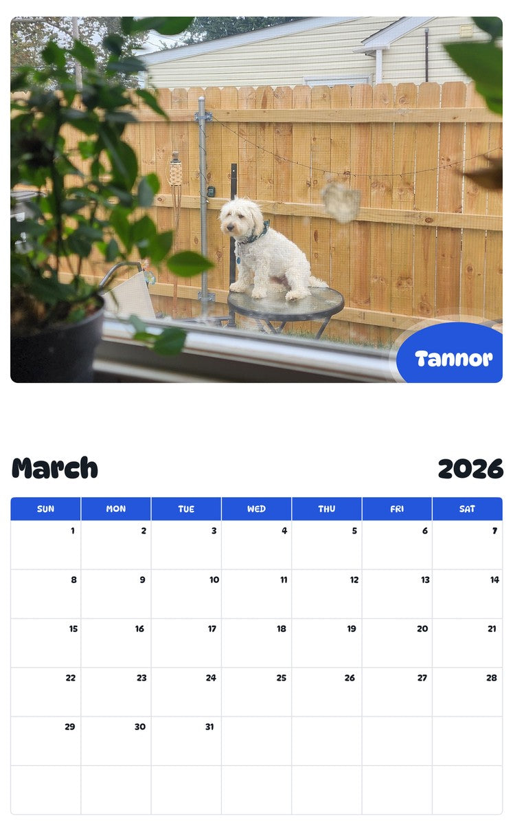 November 2025 - October 2026 Tannor - Pawidols Pet Calendar