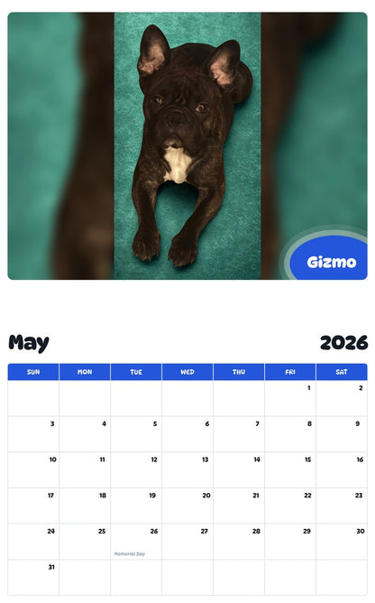 2026 - 2027 Gizmo - Pawidols Pet Calendar