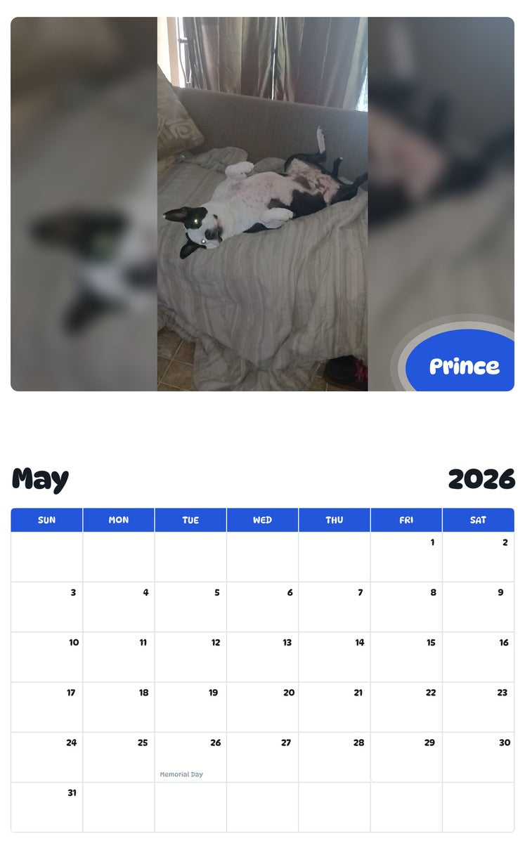 2026 - 2027 Prince - Pawidols Pet Calendar