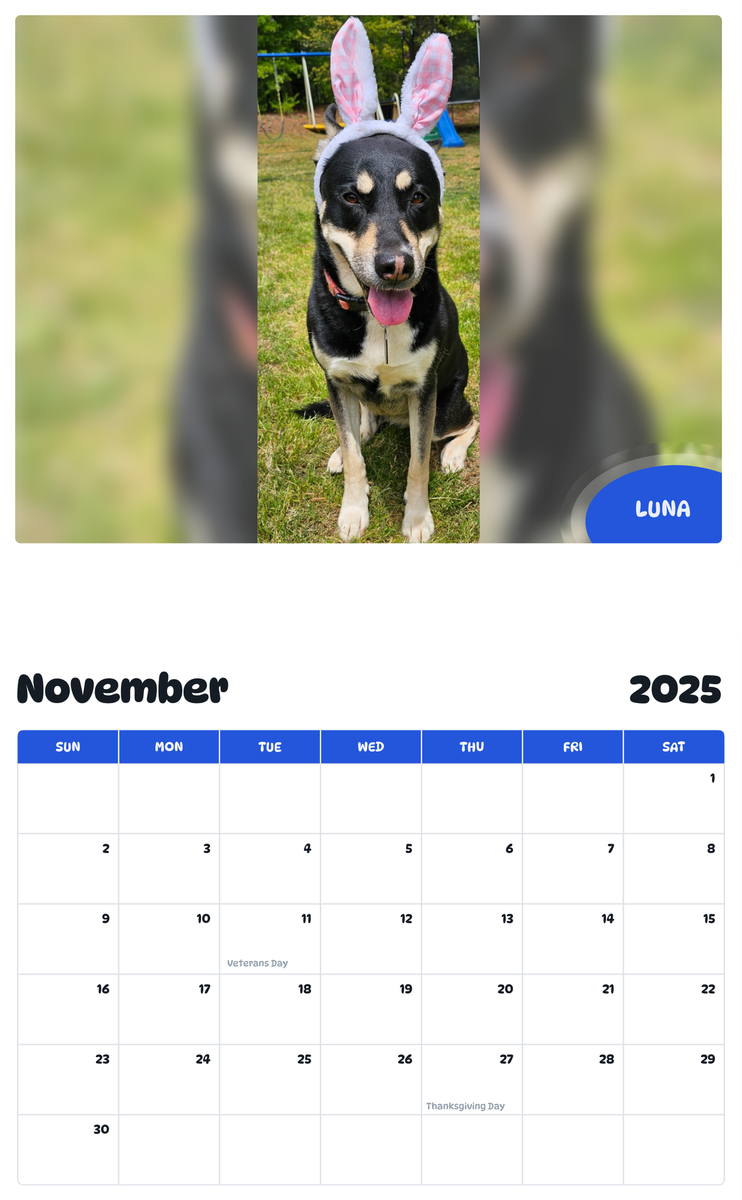 July 2025 - June 2026 Luna - Pawidols Pet Calendar