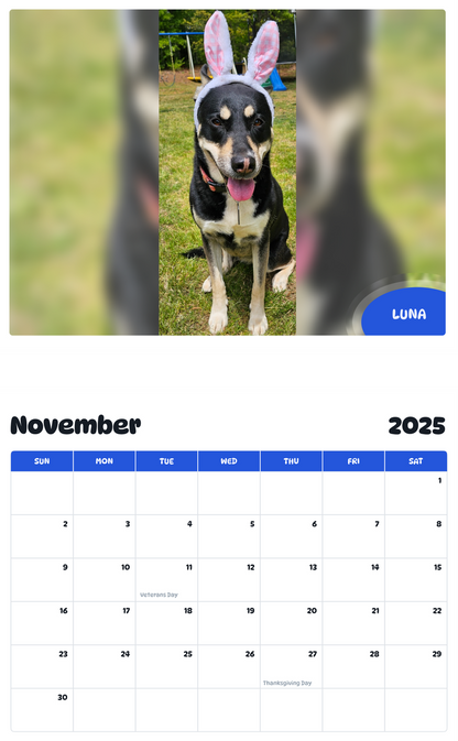 July 2025 - June 2026 Luna - Pawidols Pet Calendar