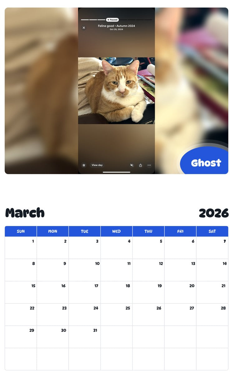 November 2025 - October 2026 Ghost - Pawidols Pet Calendar
