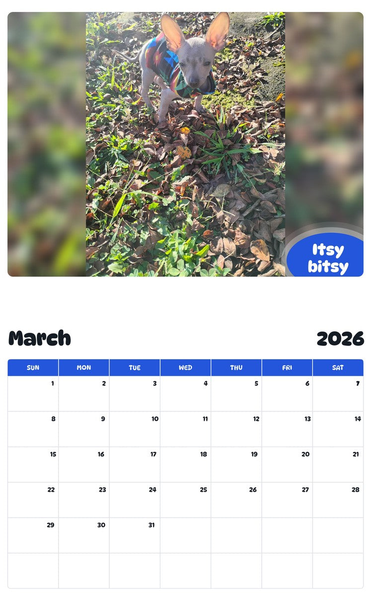 November 2025 - October 2026 Itsy bitsy - Pawidols Pet Calendar