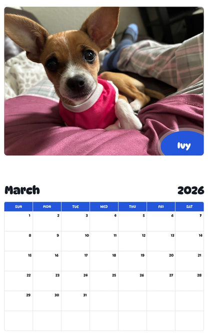November 2025 - October 2026 Ivy - Pawidols Pet Calendar