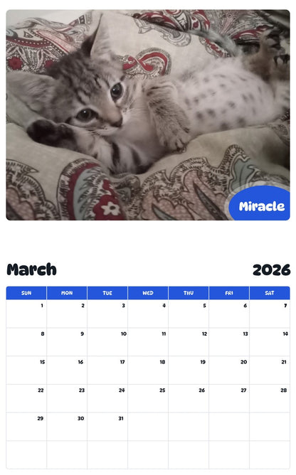 November 2025 - October 2026 Miracle - Pawidols Pet Calendar