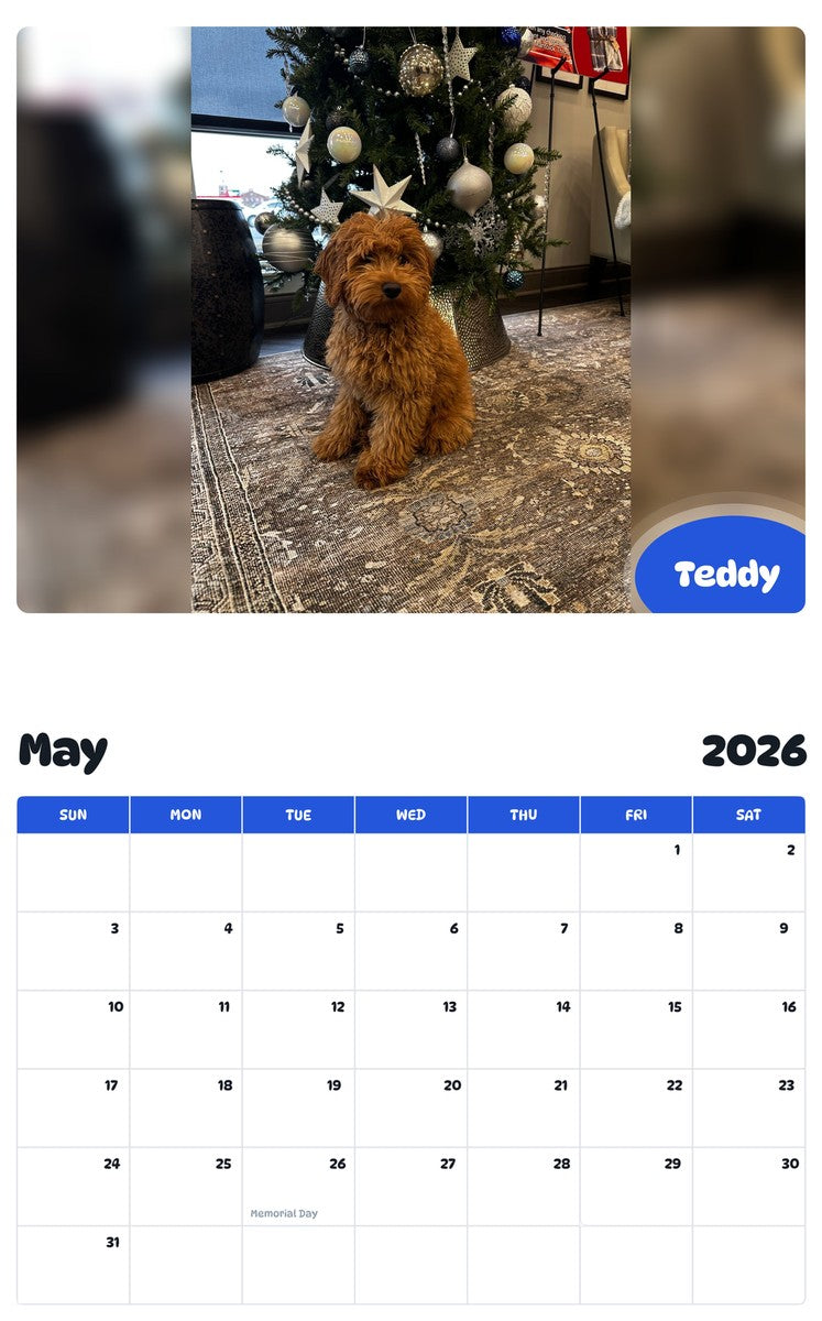 2026 - 2027 Teddy - Pawidols Pet Calendar