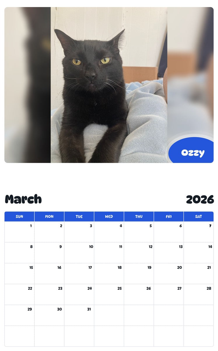 November 2025 - October 2026 Ozzy - Pawidols Pet Calendar