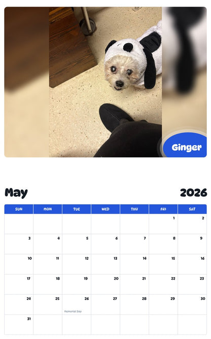 2026 - 2027 Ginger - Pawidols Pet Calendar
