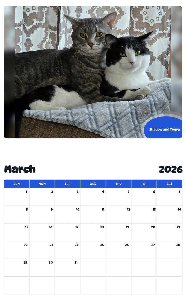 November 2025 - October 2026 Shadow and Tygra - Pawidols Pet Calendar