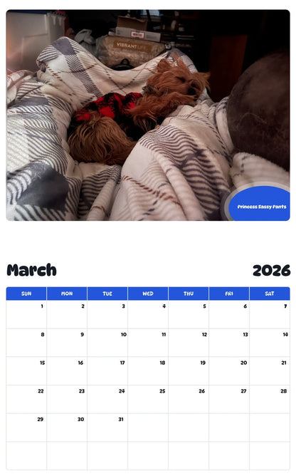 November 2025 - October 2026 Princess Sassy Pants - Pawidols Pet Calendar
