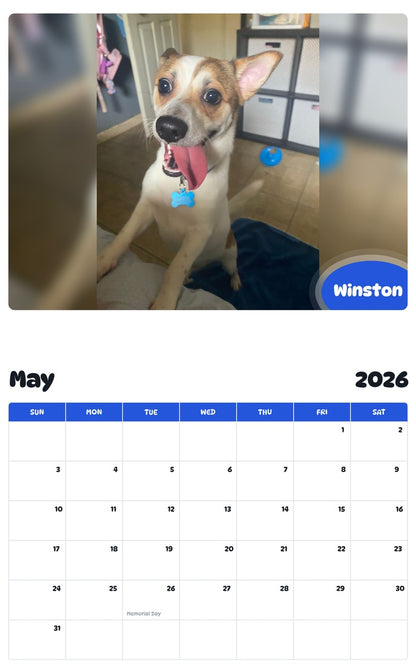 2026 - 2027 Winston - Pawidols Pet Calendar