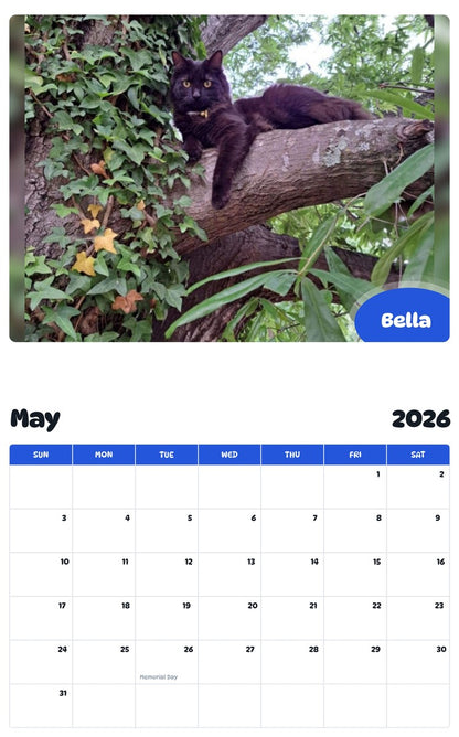 2026 - 2027 Bella - Pawidols Pet Calendar